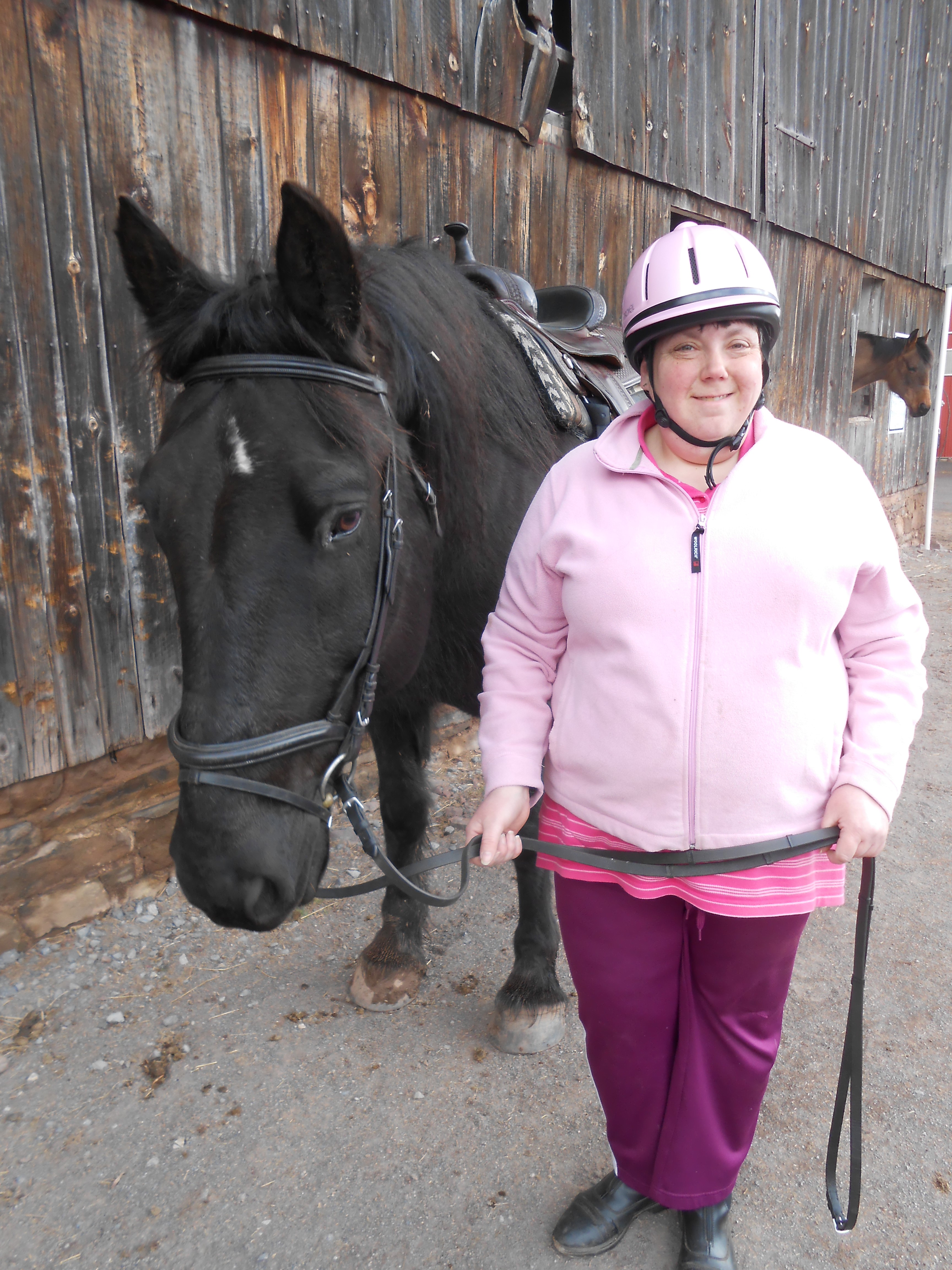 Therapy Horse