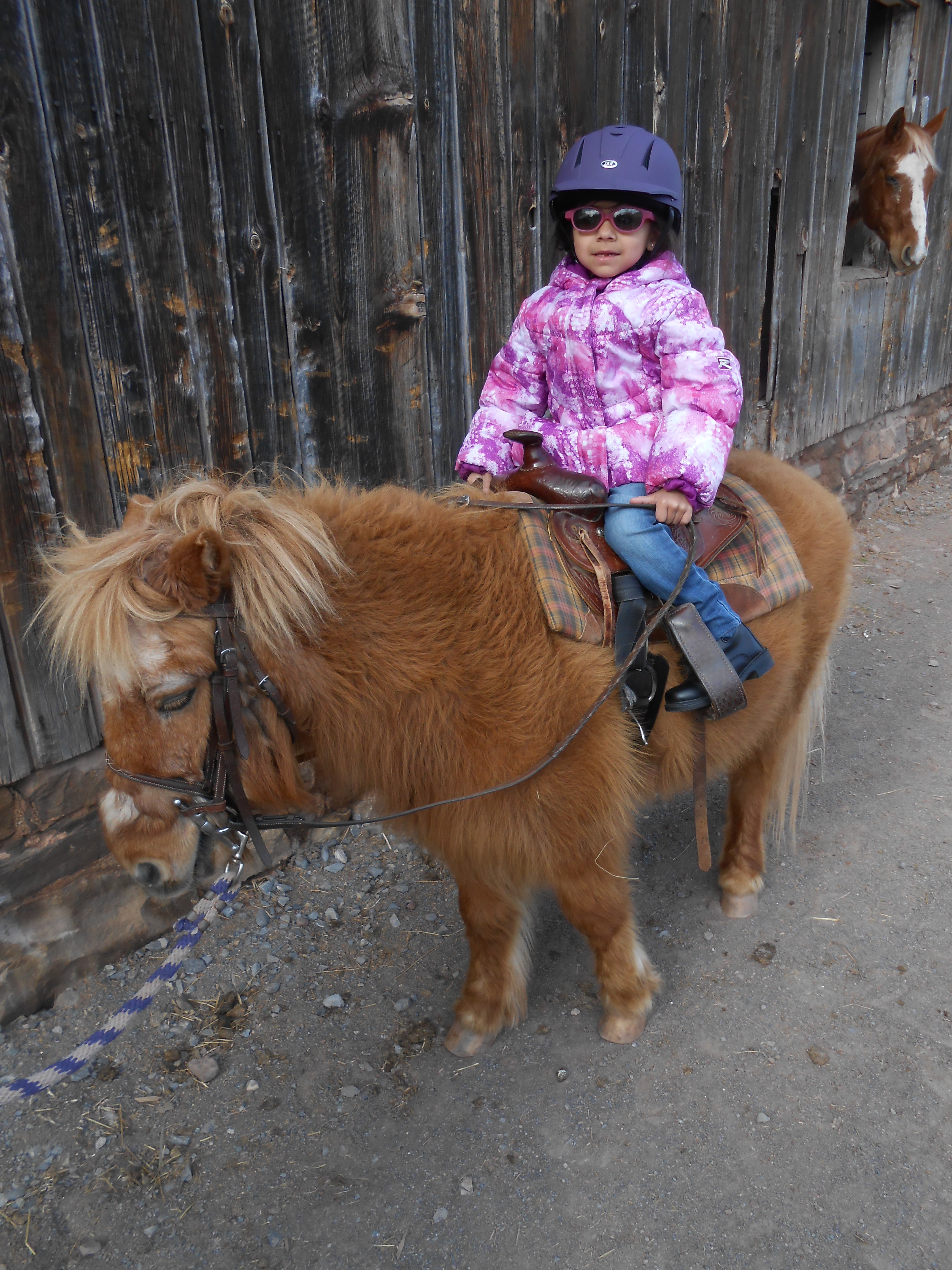 Therapeutic Riding Participant